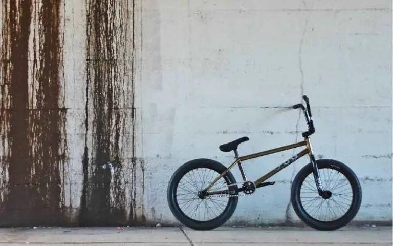 Are Dyno BMX Bikes Good? (Must Know Things)