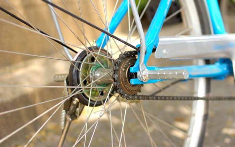 Freehub Vs. Freewheel