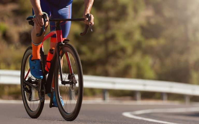 Road Bikes With Fender And Rack Mount (Must Read)
