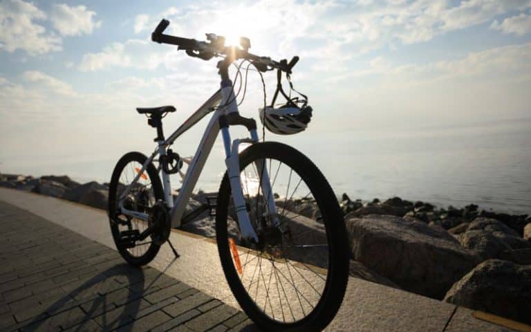 Shimano RX100 Components