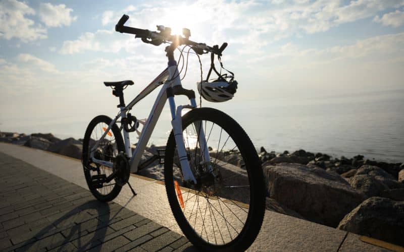 Shimano RX100 Components