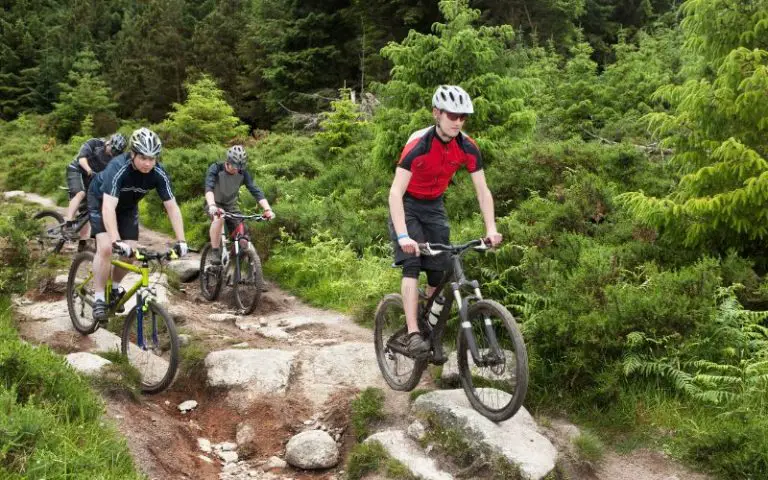 What Happens If You Don’t Bedding Brakes In MTB?