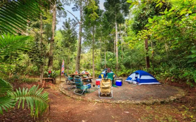 Snowbird Campsites Adirondacks (A Complete Guide)