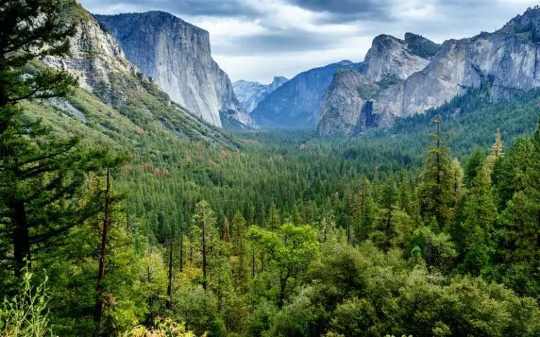 Can You Visit Yosemite Without Hiking? (Must Know This)