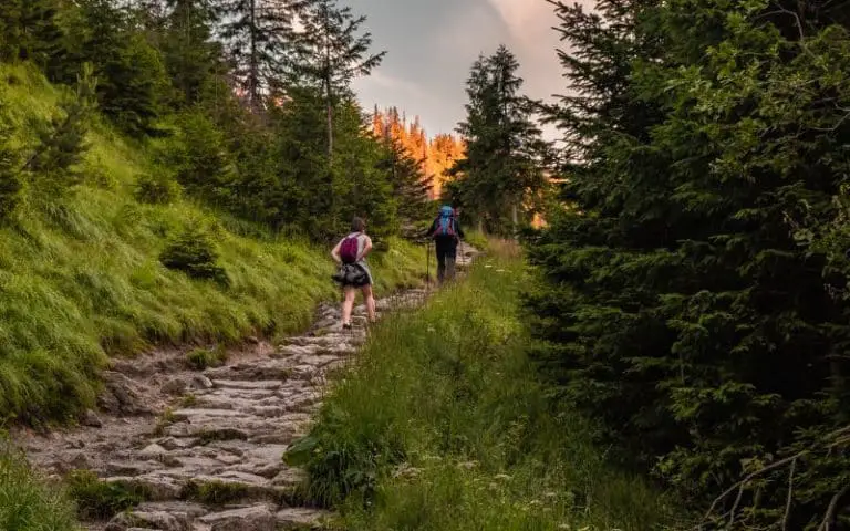 How Much Does It Cost To Build A Hiking Trail?