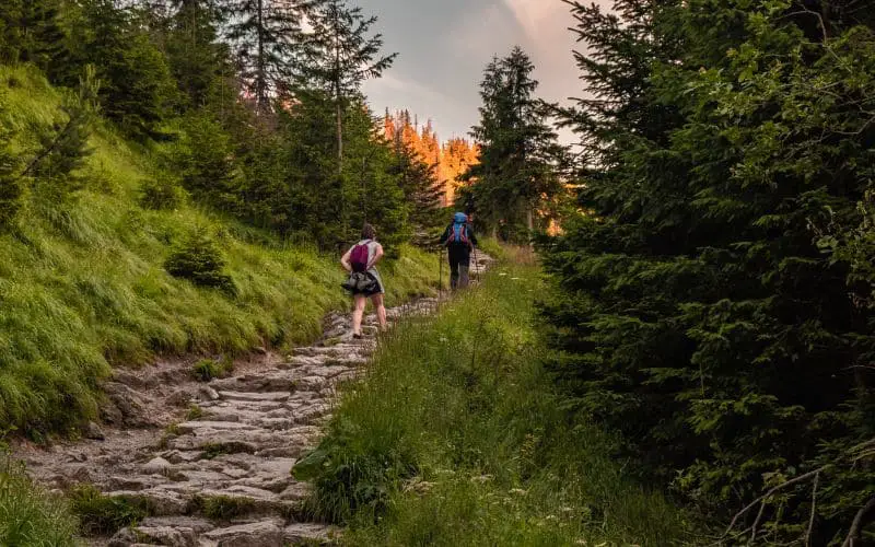 How Much Does It Cost to Build a Hiking Trail