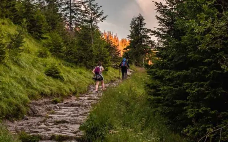 Do Hiking Trails Have To Be ADA Compliant? (Answered)