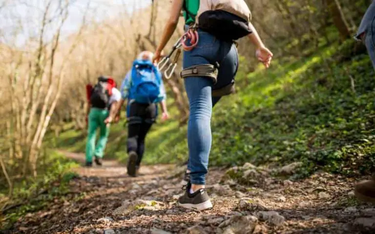 How Many Miles Can A Beginner Hike in A Day? (Explained)