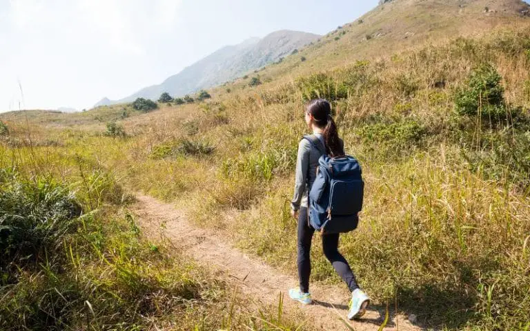 What Are The Requirements For The Hiking Merit Badge?
