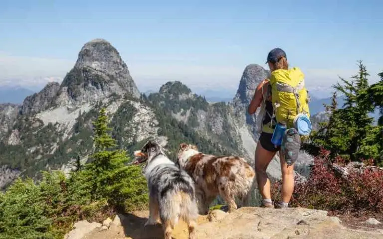 Where Can I Hike With My Dog