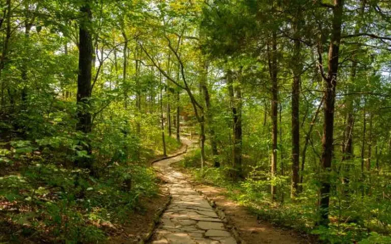 Where is Hennops Hiking Trail? (All You Need To Know)