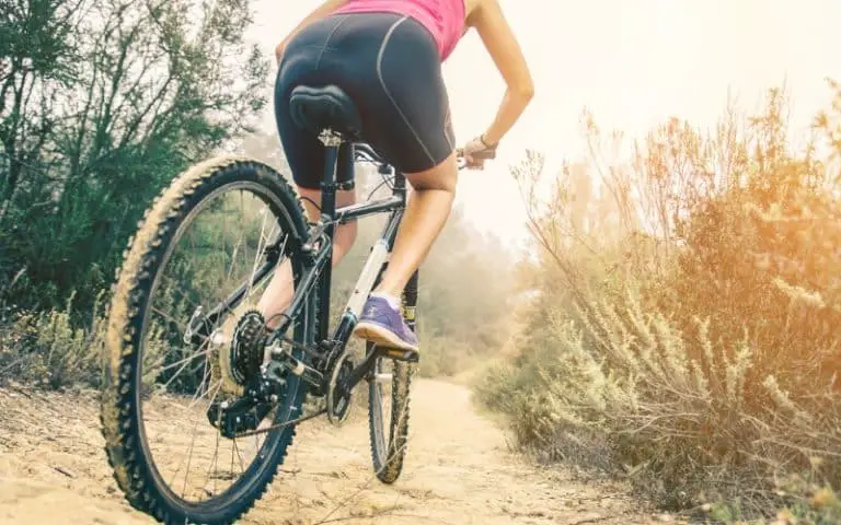 How Much Does a Schwinn Mountain Bike Weigh