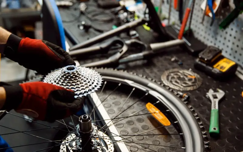 Are Mountain Bike Cassettes Universal