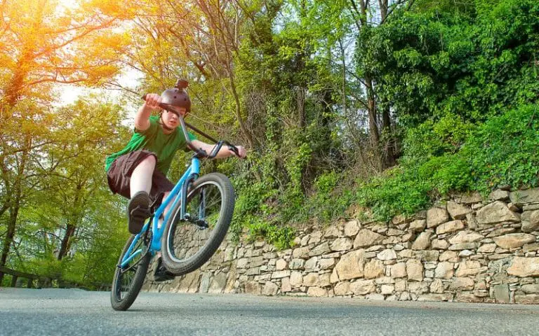 How Can I Tell What Kind of BMX Bike I Have? (Explained)