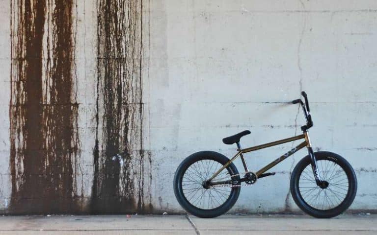 What BMX Bikes Do Pros Ride? (Must Know This)