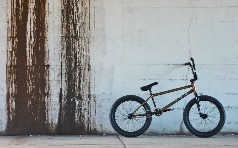 What BMX Bikes Do Pros Ride