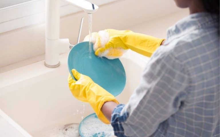 Can Enamel Camping Plates Go in the Dishwasher