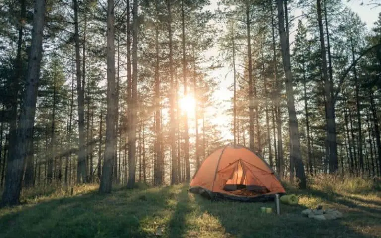 Can I Put a Camping Pod in My Garden? (Explained)