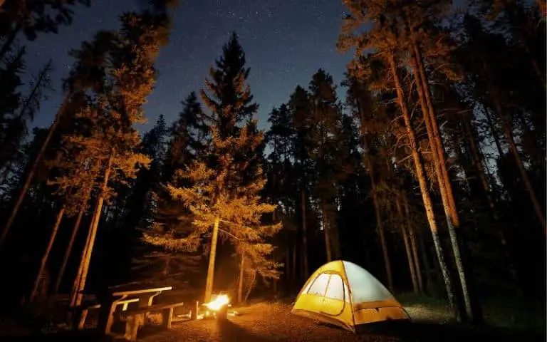Can You Camp Overnight In National Parks? (Must Know This)