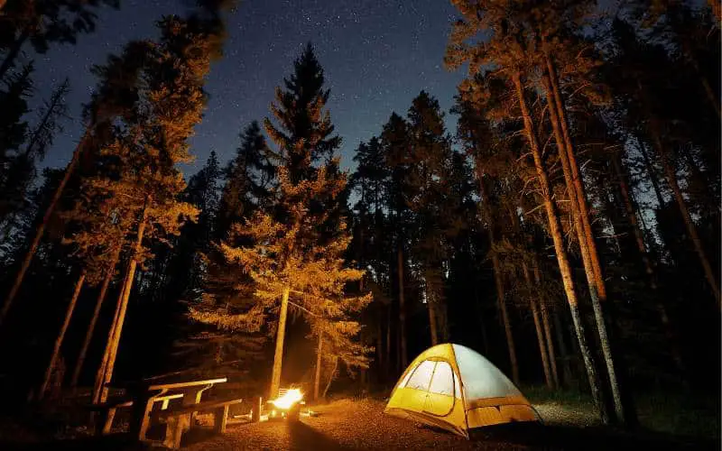 Can You Camp Overnight In National Parks