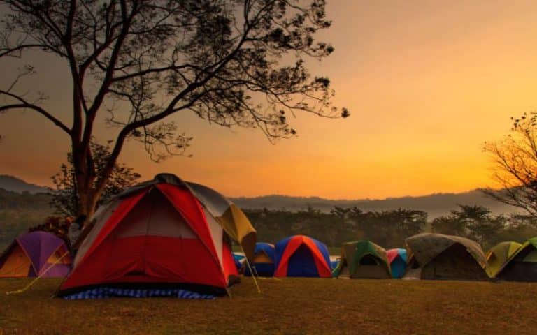 Can You Go Camping On Crown Land in Alberta? (Explained)