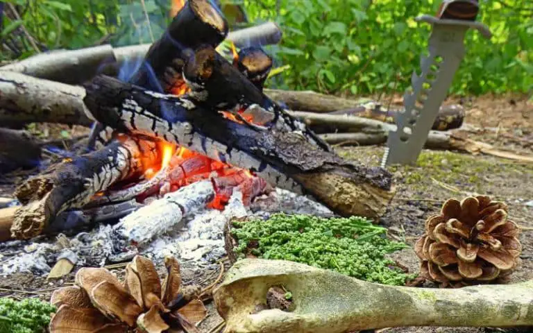 Can You Camp On Public Hunting Land? (Must Know This)
