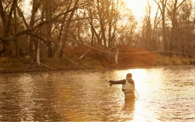 Can You Go Camping When It’s Raining? (Read This First)