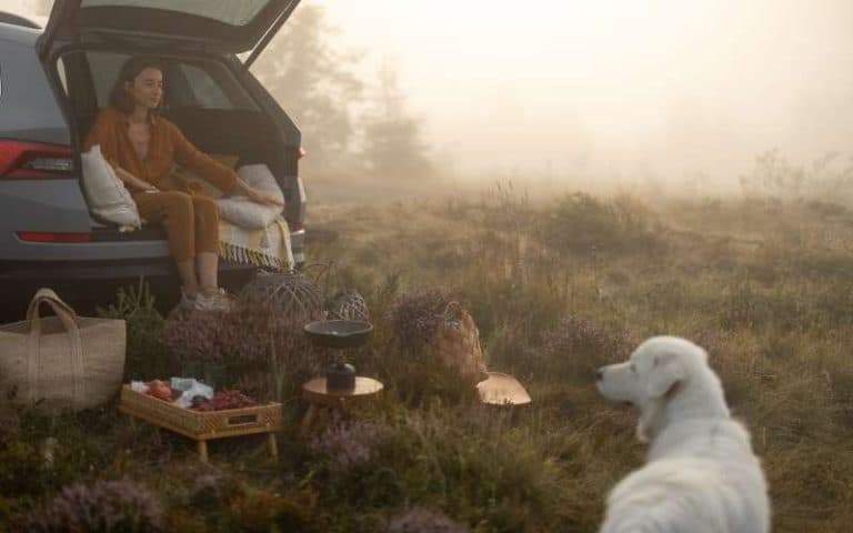 Can You Go Camping With an Electric Car