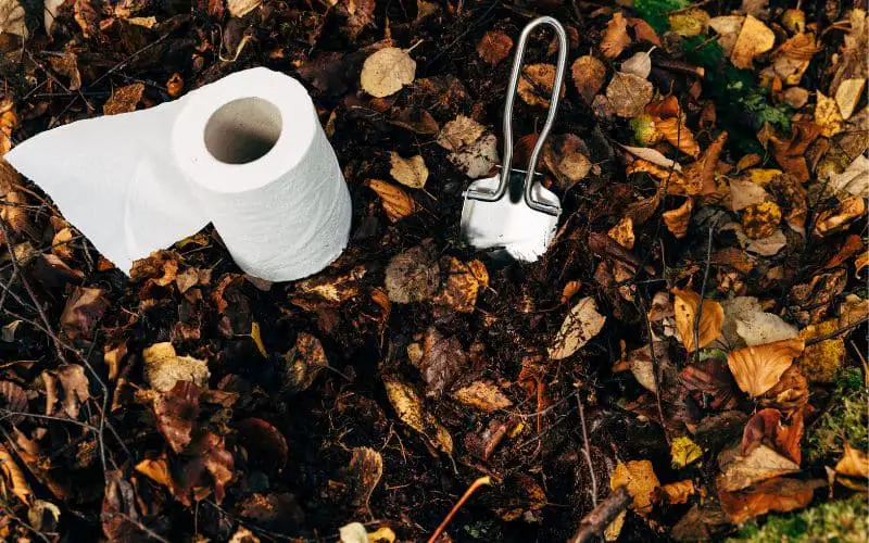 Can You Poop in a Camping Toilet