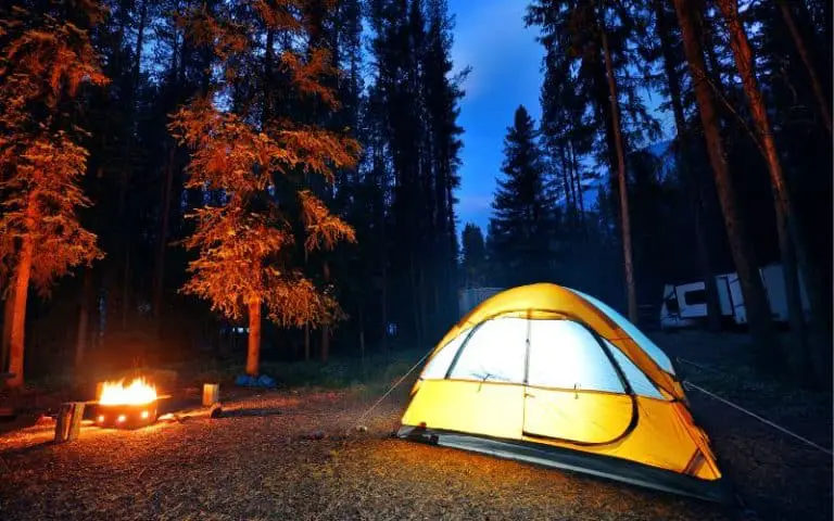Can You Use Camp Fuel in a Zippo