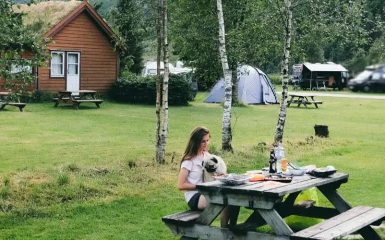 Do Camping Sites Allow Dogs? (All You Need To Know)