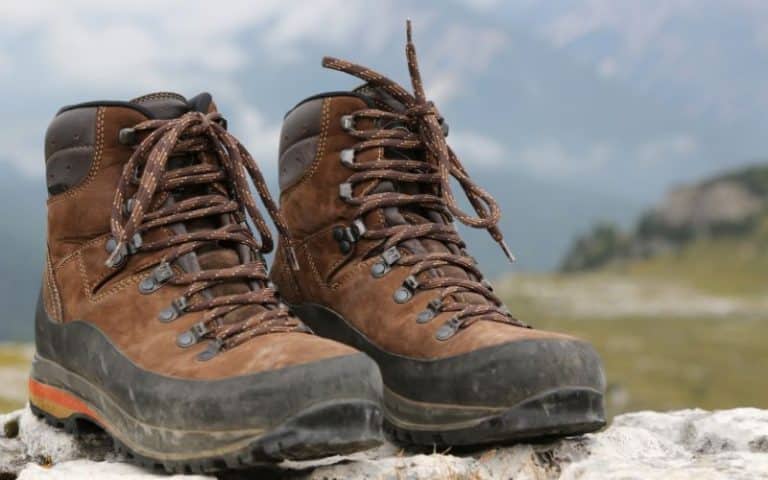 Hiking Boots vs. Shoes