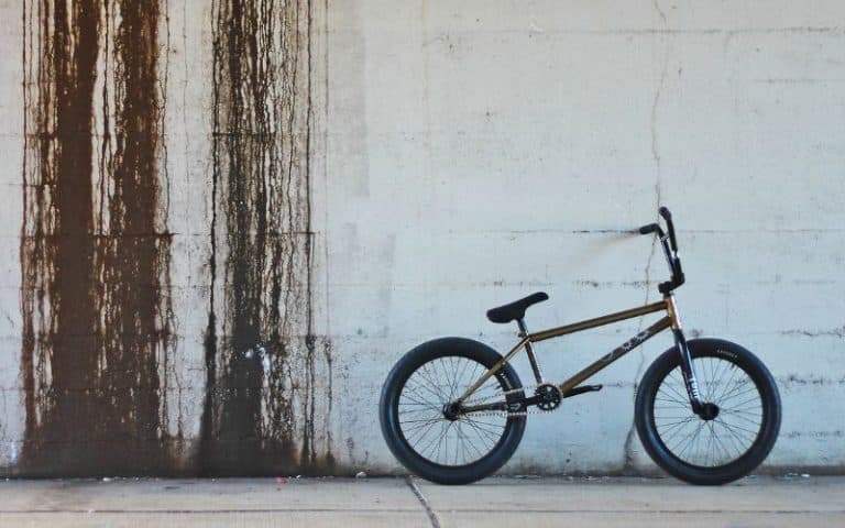 What Size BMX for Adults? (Let’s Find Out)