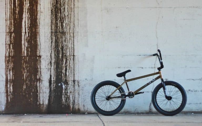 What Size BMX for Adults