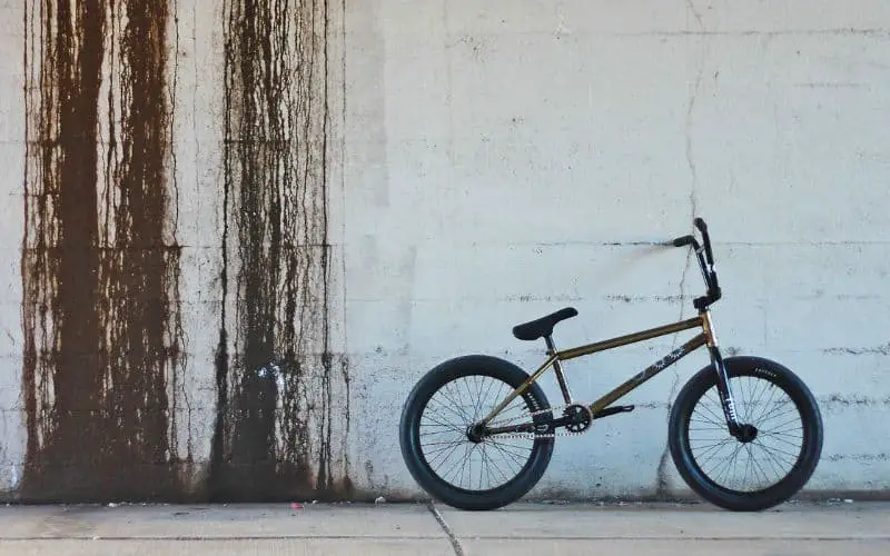 What Size BMX for Adults