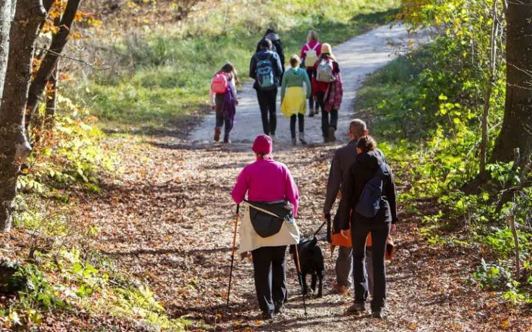 Best Hiking Trails