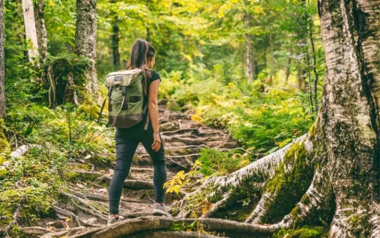Hiking Trails in Wisconsin: All You Need to Know