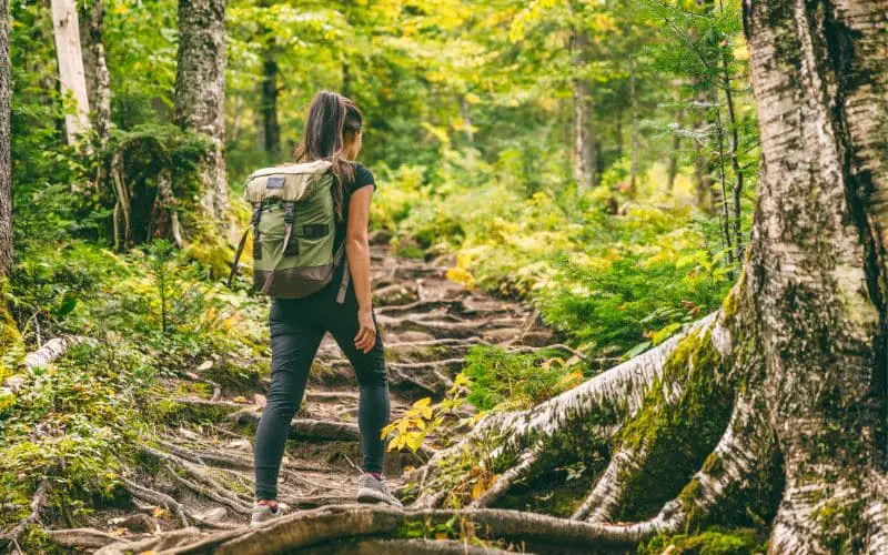Hiking Trails in Wisconsin
