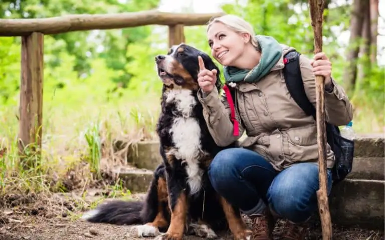Hiking with Dogs: Tips for a Pawsome Adventure!
